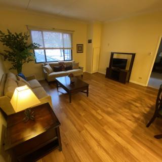 A cozy living room with a hardwood floor, featuring a sofa, coffee table, TV, lamp, and indoor plant next to a large window.