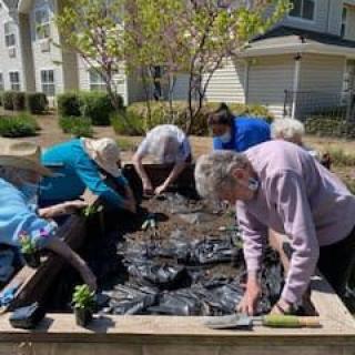 A group of people working together in a community garden.