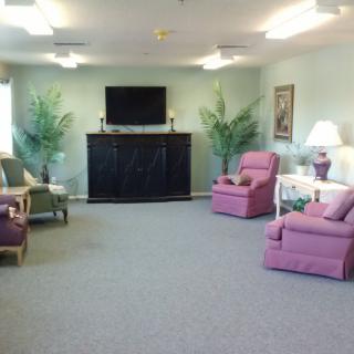A cozy living room with armchairs, a television, and decorative plants.