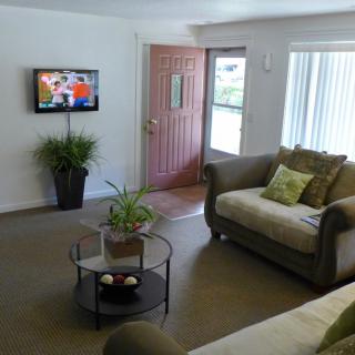 A cozy living room with a sofa, television, and decorative plants.