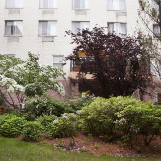 A serene garden view with lush greenery in front of a building with multiple windows.