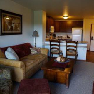 Cozy living room with an open-concept kitchen and comfortable furnishings.