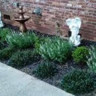A neatly maintained garden with statues against a brick wall.