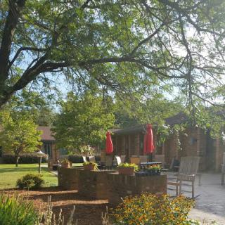 A serene garden scene bathed in sunlight, featuring a brick structure and vibrant red umbrellas.