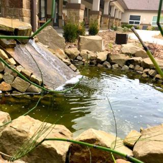 A tranquil pond with a cascading waterfall, surrounded by natural stones and greenery.