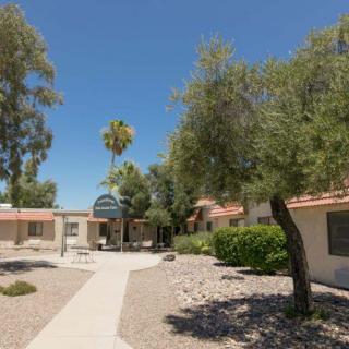 A residential area with a pathway lined by desert landscaping and trees under a clear blue sky.