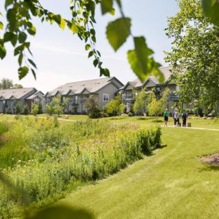 A picturesque neighborhood with rows of houses surrounded by lush greenery and a sunny pathway.