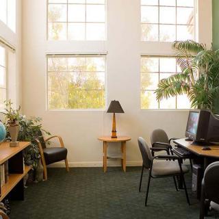 A well-lit office space featuring multiple computers, desks, and potted plants.
