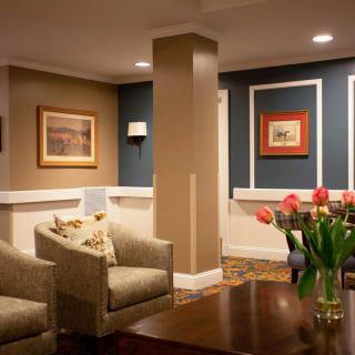 A modern and cozy living room with comfortable seating, decorative artwork on the walls, and a vase of tulips on the table.