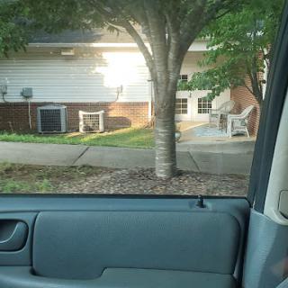 A view from inside a car showing a tree and a building with chairs on the lawn.