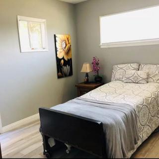A minimalist bedroom with a single bed and tasteful decor.
