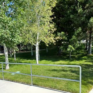 A serene view of a park with healthy green trees and vibrant grass.