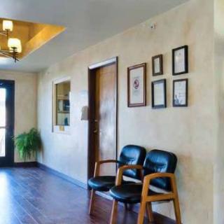 A waiting room with chairs, framed pictures on the wall, and a plant.