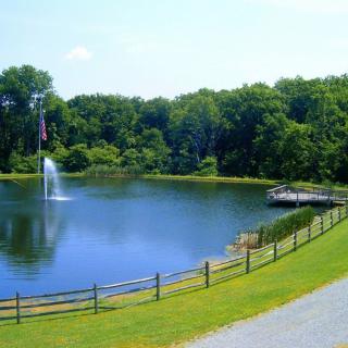A serene pond with a fountain and bridge surrounded by lush greenery.