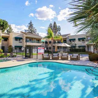 A sunny day at an apartment complex featuring a swimming pool and surrounded by lush greenery and palm trees.