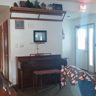 A cozy interior featuring a piano with a bench and decorative items on the wall shelf.