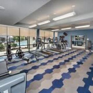 A modern gym with multiple treadmills and exercise equipment overlooking large windows.