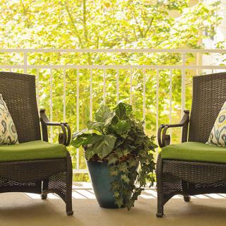 A cozy patio setup with two wicker chairs and a potted plant between them.