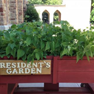 A raised planter labeled 'Resident's Garden' filled with lush green plants.