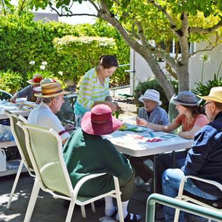 A group of seniors enjoying an outdoor activity under a tree.