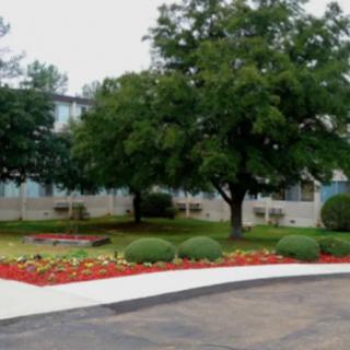 A landscaped garden with a large tree, flowers, and bushes, bordered by a paved walkway.