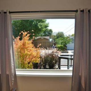 A view of a garden with colorful plants from inside a room through a window.