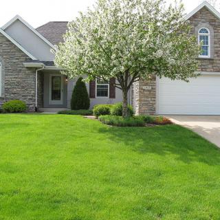 A suburban house with a well-maintained lawn and a front yard tree.