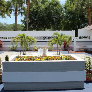 A beautifully landscaped garden featuring palm trees and colorful flowers on a sunny day.