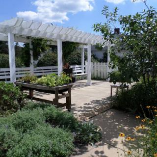 A serene garden space featuring a white pergola, lush greenery, and a sunny atmosphere.
