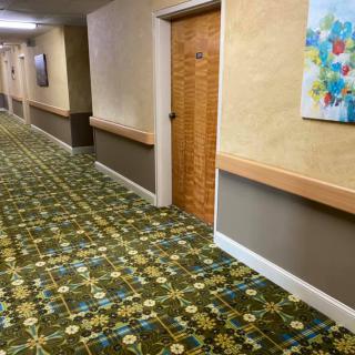 A hotel hallway featuring a patterned carpet, wooden door, and colorful artwork on the wall.