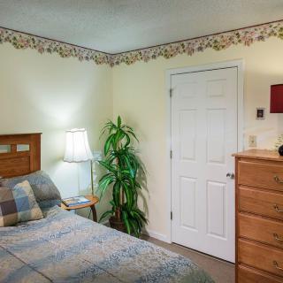A cozy bedroom featuring a bed, lamp, dresser, and potted plant with decorative border on the walls.