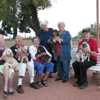 A joyful gathering of seniors with their beloved dogs in a sunny park.