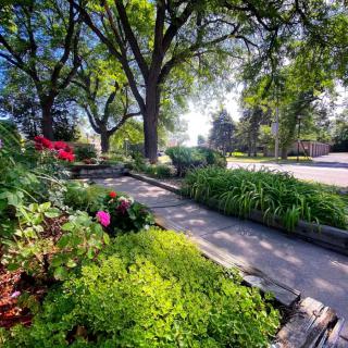 A serene pathway through a lush garden with vibrant flowers and towering trees.