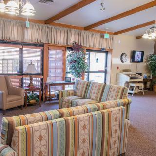 A cozy living room with striped sofas, a patterned carpet, and large windows letting in natural light.