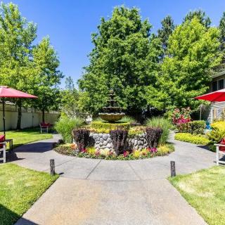 A serene garden with a central fountain surrounded by lush greenery and pathways, under a clear blue sky.