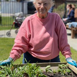 An elderly woman enjoys her time gardening, tending to a vibrant patch of plants under the sun.