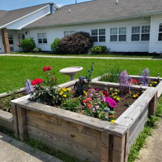A vibrant garden with a variety of flowers in raised wooden beds outside a building.