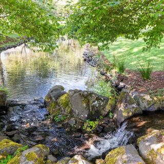 A tranquil scene of a small stream flowing over rocks under the shade of green trees.