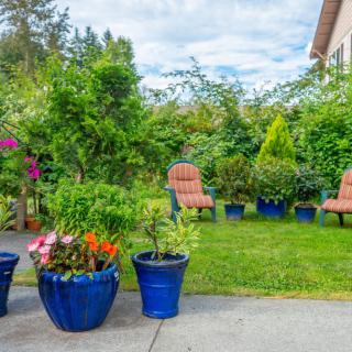 A serene garden setting with vibrant potted plants and comfortable seating.