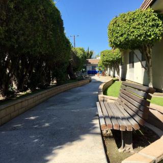 A sunny walkway lined with benches and trimmed trees alongside a building.