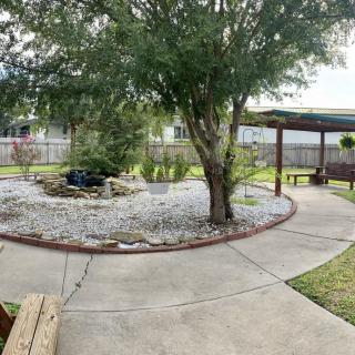 A serene garden with a tree, circular pathway, and benches.