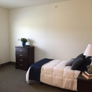 A minimalist bedroom featuring a single bed, a dresser with a plant, and neutral color tones.