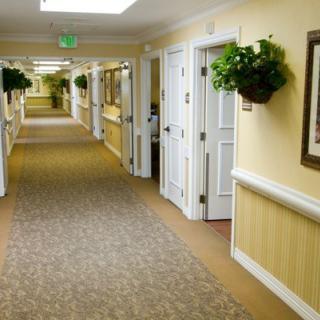 A well-lit hallway with carpet flooring, doors on either side, and decorative plants.