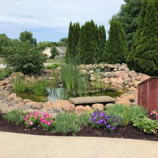A beautifully landscaped garden featuring a pond surrounded by stones, colorful flowers, and lush greenery.