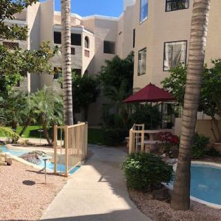 A well-landscaped apartment complex exterior with palm trees and a shaded seating area along a sidewalk.