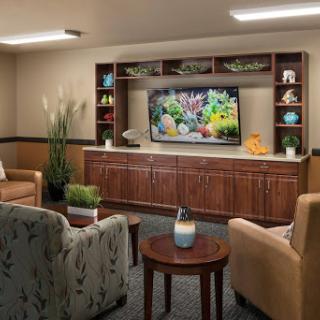A cozy living room setup featuring comfortable seating, a television, and decorative shelves with plants.