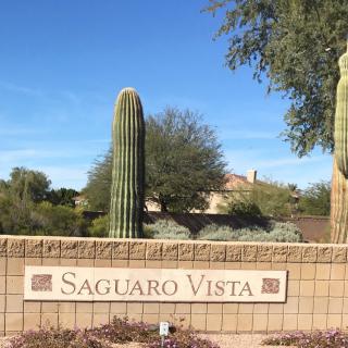 Entrance sign for Saguaro Vista accompanied by cacti in a desert setting.