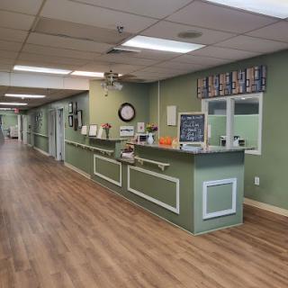 A welcoming reception area with green walls and wooden flooring.