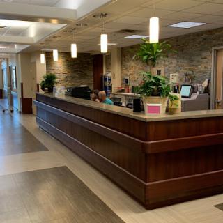 A modern reception area with a sleek wooden front desk and decorative plants.