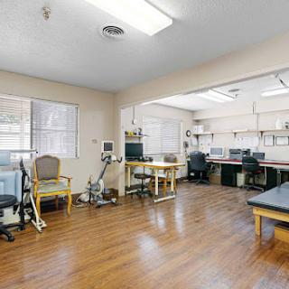 A spacious medical office designed for physical therapy and rehabilitation.